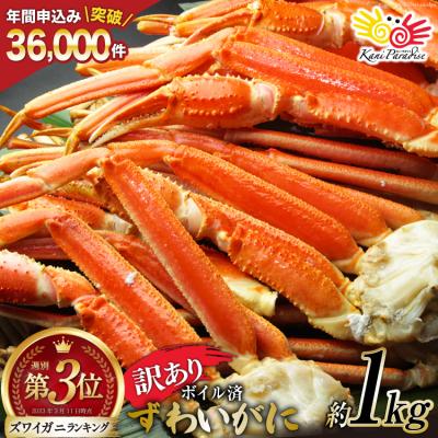 ふるさと納税 気仙沼市 訳あり ボイル ずわいがに 肩付き脚 総重量1kg [20564325]