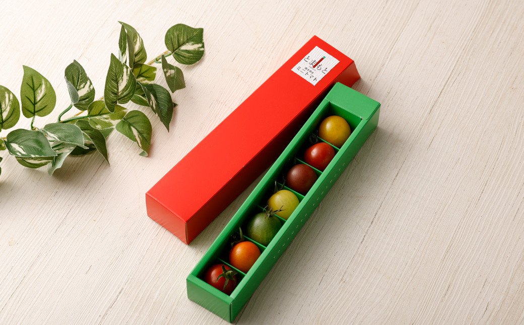 
7色カラフルミニトマト 7粒×4箱 28粒 トマト 高森町産
