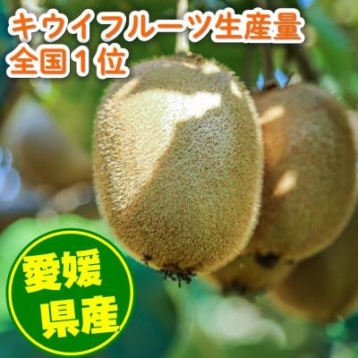 ふるさと納税 松山市 家庭用 キウイフルーツ 1.5kg (約18玉) 愛媛県産 2027年1月上旬〜2月下旬 |  | 01