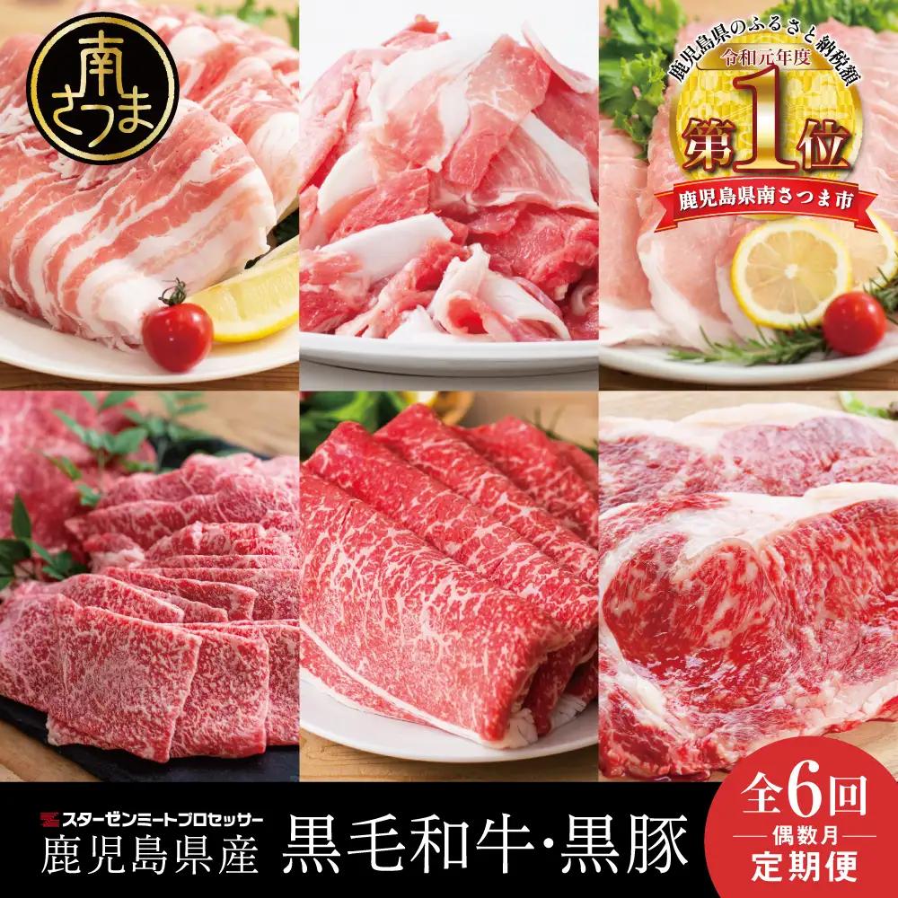 【定期便 全6回】スターゼン厳選 お肉の定期便（鹿児島県産黒毛和牛・黒豚） 牛肉 豚肉 しゃぶしゃぶ 焼肉 すき焼き 冷凍 スターゼン
