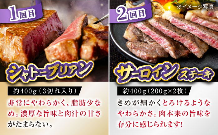 【6回定期便】長崎和牛お楽しみセット 金コース（シャトーブリアン・サーロインステーキ・長崎和牛入りハンバーグ・焼き肉用 カルビ・ロース・モモ） / 牛肉 ハンバーグ はんばーぐ おかず 惣菜 小分け 
