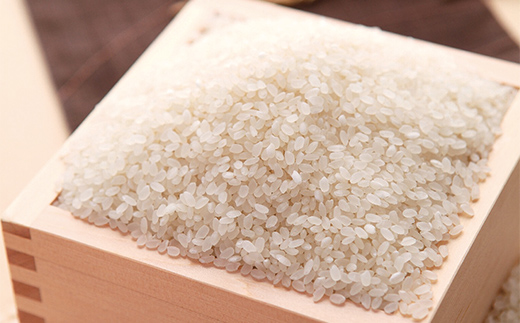 【山形の極み】山形県産 つや姫 精米 10kg(5㎏×2袋) ブランド米 コメ ごはん ご飯 食品 F4A-1035