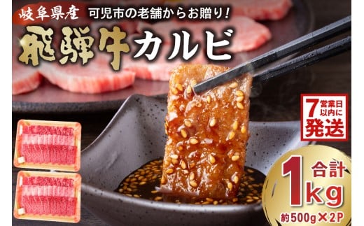 飛騨牛カルビ1kg（500g×2） 【 焼肉 肉 牛肉 カルビ 焼肉用 合計1kg 1キロ まとめ買い おうち焼肉 BBQ バーベキュー 肉 花見 和牛 国産牛 黒毛和牛 】
