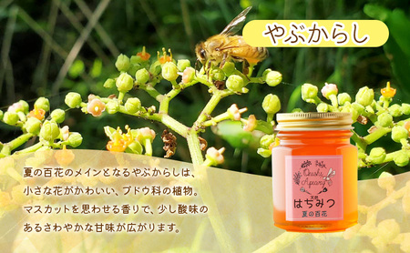 盛岡産はちみつ【かわいい 六角瓶 150g　3種セット】 国産 非加熱  ハチミツ 蜂蜜