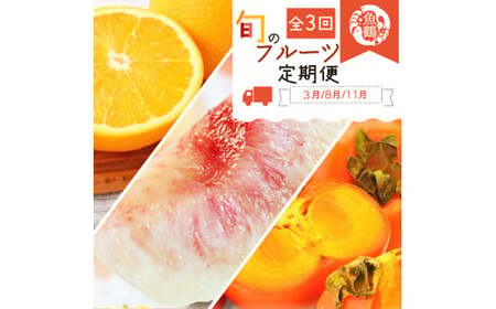 定期便 【全3回】果物定期便 紀州デコ 桃 富有柿 【tkb394】