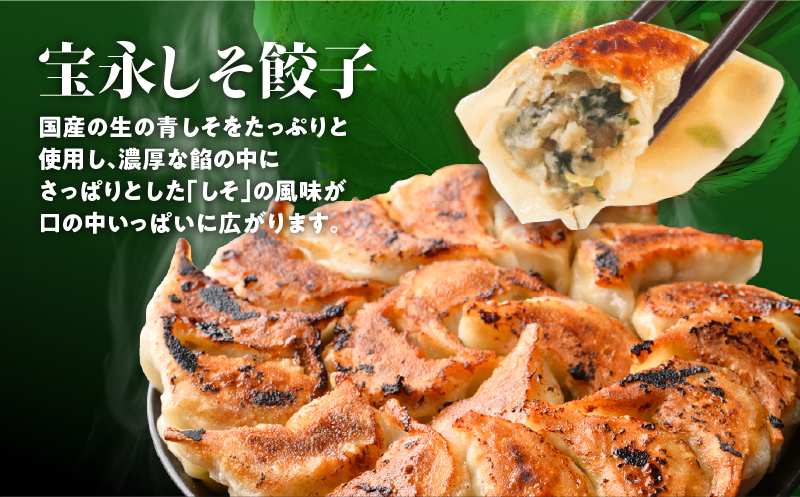 ぎょうざの宝永 しそ餃子セット（宝永餃子 15個入×2袋＆しそ餃子 15個入×2袋）合計1.5kg　T004-004