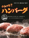 【ふるさと納税】やみつきハンバーグ（3個入） 合挽肉 国産 真空包装 冷凍 那須町 〔P-57〕