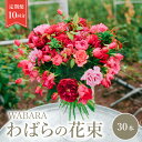 【ふるさと納税】わばら花束 定期便 30本 10回分 Rose Farm KEIJI WABARA 國枝啓司