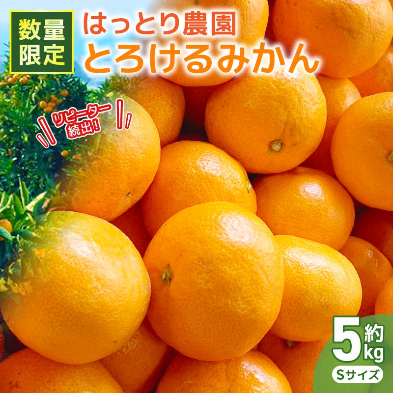 【ふるさと納税】【受付終了】服部農園 安田町生まれはっとり育ち。の「とろけるみかん」5Kg（サイズS）早期予約 家庭用 みかん 5kg Mサイズ 柑橘 蜜柑 ゆら早生 期間限定 文旦 季節限定 先行予約 ふるさと納税 人気 高知 安田町 HT-04