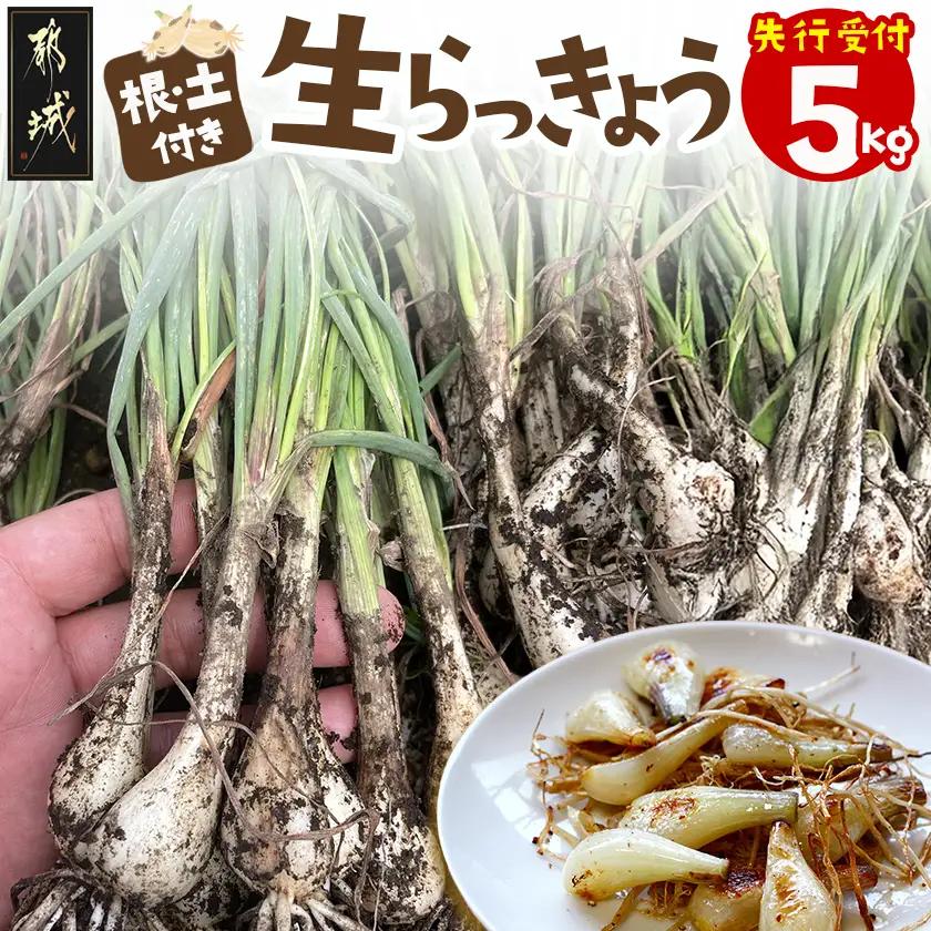 【先行受付!】根付き土付き生らっきょう5kg≪2027年5月中旬以降順次お届け≫〔L7-001-5kg〕