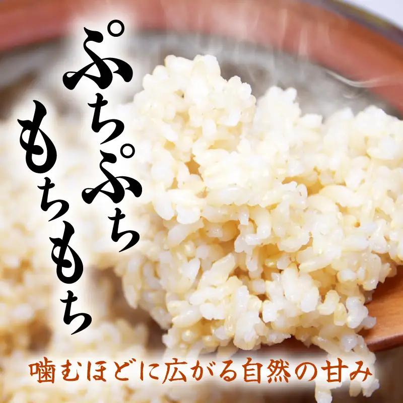 【玄米】定期便 ≪6ヶ月連続お届け≫コシヒカリ 令和8年産 玄米 10kg × 6回 (計60kg) 【長谷川農園】 [m22-k001]