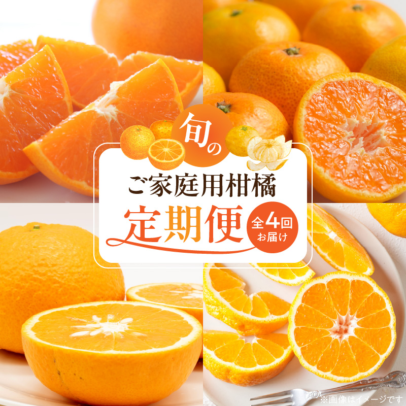 【発送月固定定期便】紀州和歌山産旬のご家庭用柑橘セット(みかん・不知火・せとか・清見)全4回_G60-T101