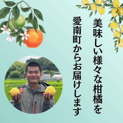 ふるさと納税 愛南町 愛南ゴールド ( 河内晩柑 ) 8kg +傷み補償分1割程度増量 愛南町 青果市場 なくなり次第終了 |  | 01