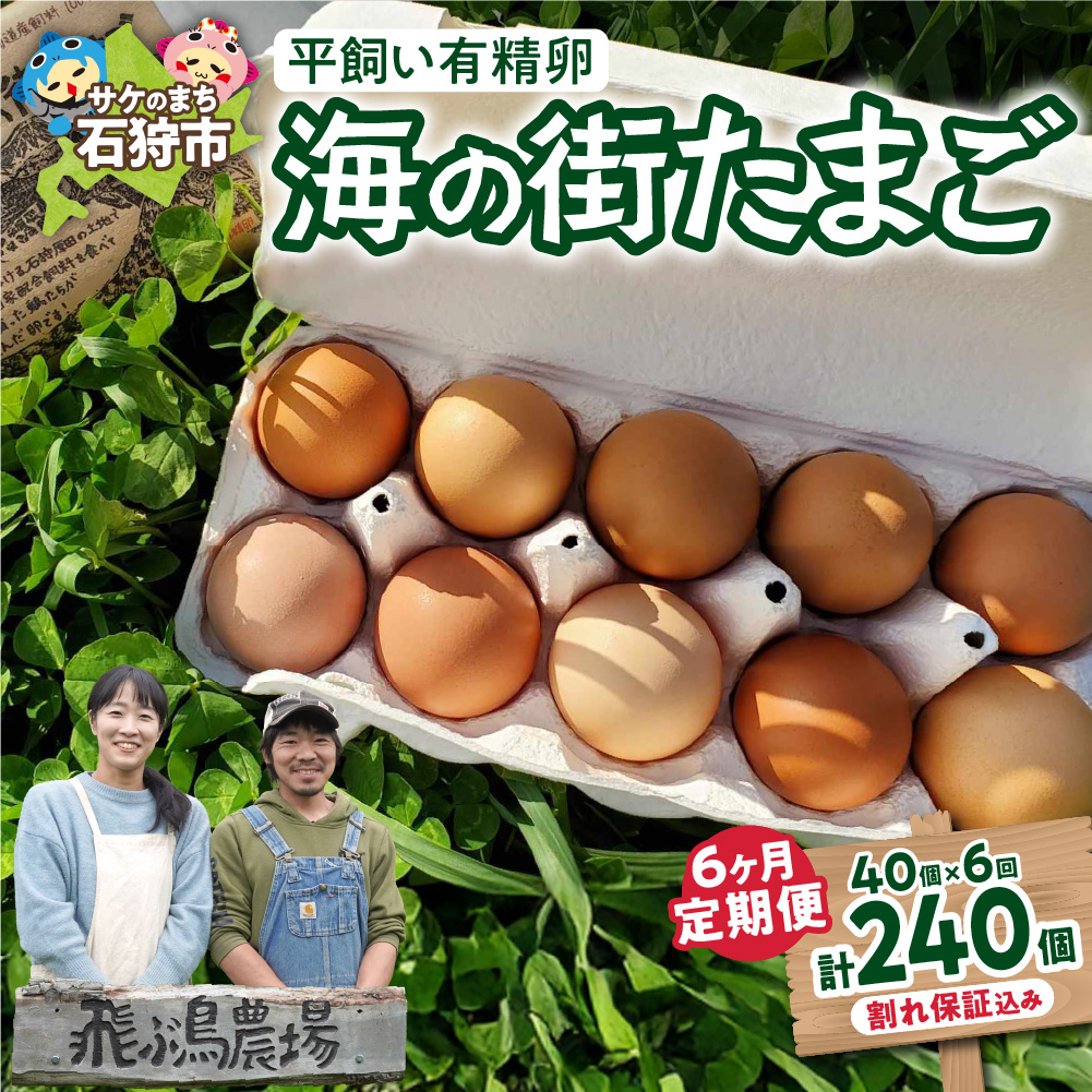 【定期便】飛ぶ鳥農場　海の街たまご　40個×6か月_is085-005-999