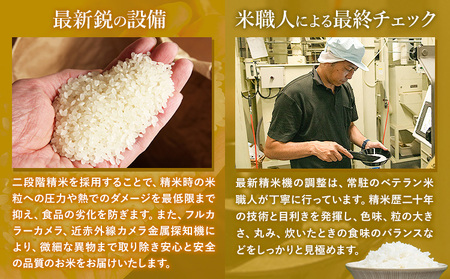 白米 精米 阿蘇びより 10kg (5kg×2袋)
