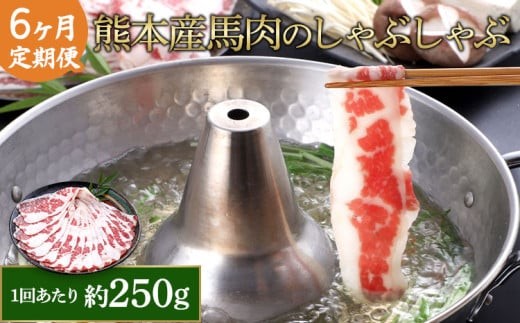 
【6か月定期便】熊本産 馬肉 しゃぶしゃぶ 約250g
