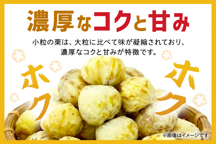 【2026年先行予約】【訳あり】 小粒 荒むき栗 1kg 数量限定 訳あり 訳アリ 栗 むき栗 国産 和栗 くり クリ スイーツ 果物 フルーツ 栗きんとん モンブラン 栗ご飯 栗ごはん 秋 旬 ギフ