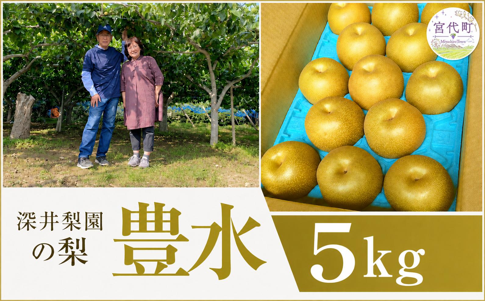 
                  梨 深井梨園の梨（豊水） 5kg | 梨 なし ナシ 豊水 ほうすい ホウスイ 豊水梨 5キロ 秀品 和梨 家庭用 贈答 産地直送 農家直送 数量限定 期間限定 先行予約 秋の味覚 旬の梨 果物 フルーツ 甘い ジューシー 2026年発送 深井梨園 埼玉 埼玉県 宮代町
                