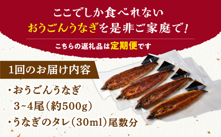 【12回定期便】おうごん うなぎ 500g【（有）松永水産】[KAB143]/ 長崎 平戸 魚介類 魚 うなぎ 鰻 ウナギ うなぎ 蒲焼 うなぎ かばやき うなぎ うなぎ蒲焼き うなぎ おうごんうなぎ