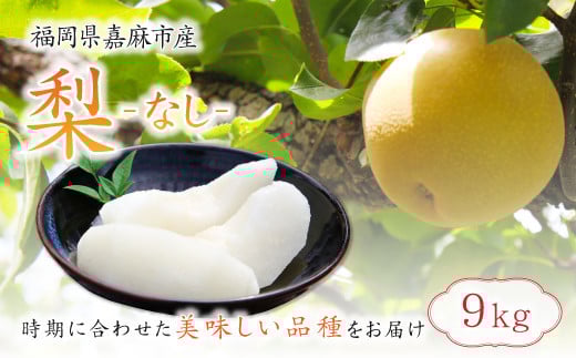 梨 9kg 【2025年8月上旬-12月上旬発送予定】 九州産 なし 果物 フルーツ