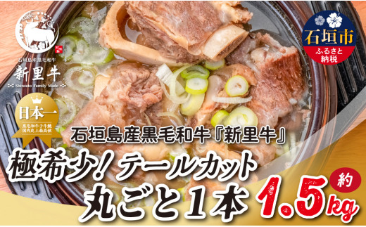 石垣島産 黒毛和牛 新里牛 極希少！ テールカット1本 約1.5kg（1～1.5kg） SZ-43