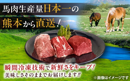 馬ウマ 焼肉セット (4から5人前) 合計 約800g / 馬さがり 馬上ホルモン 馬肉ソーセージ 焼肉 馬肉【有限会社菊陽食肉センター】[BHAC008]