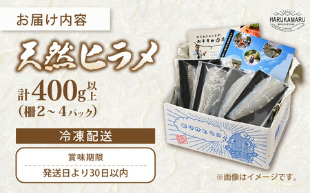 若狭の活〆天然ヒラメ 400g以上 お刺身用柵【 国産 天然 ヒラメ ひらめ 】[m36-b014]