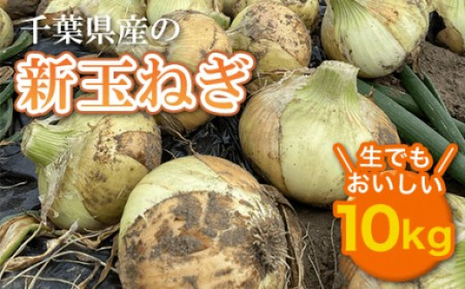 【先行予約:2027年5月以降発送】千葉県産 新玉ねぎ10kg 生でもおいしい！ AD001