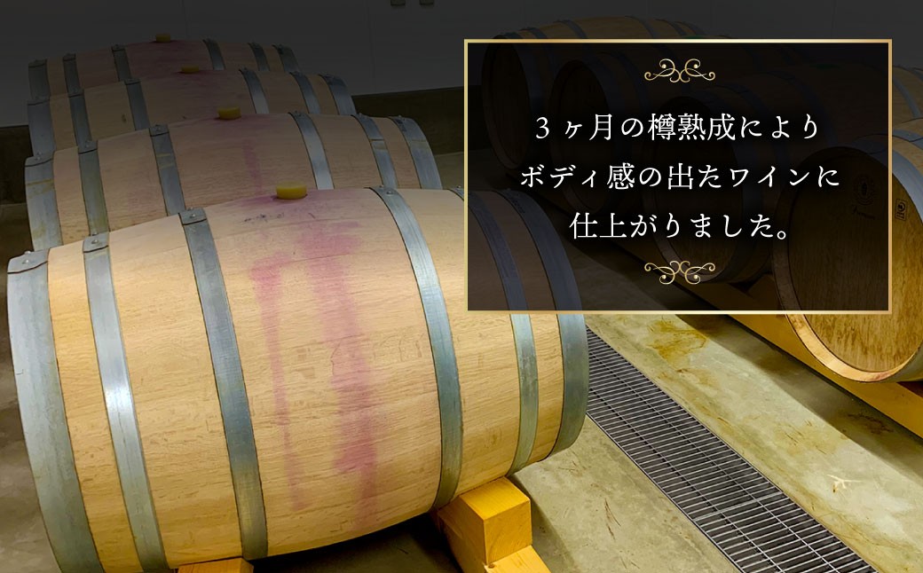 オトプケ浪漫清舞2025