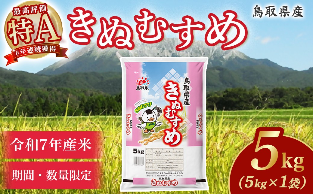 
            【数量限定】【令和7年産米】鳥取県産 きぬむすめ （5kg） パールライス 令和7年産米 精米 お米 米 こめ コメ 白米 ブランド 米5キロ きぬむすめ
          