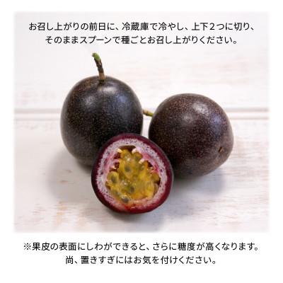 ふるさと納税 知名町 【2026年先行予約】えみちゃん農園 大玉パッションフルーツ(12個入り) |  | 02
