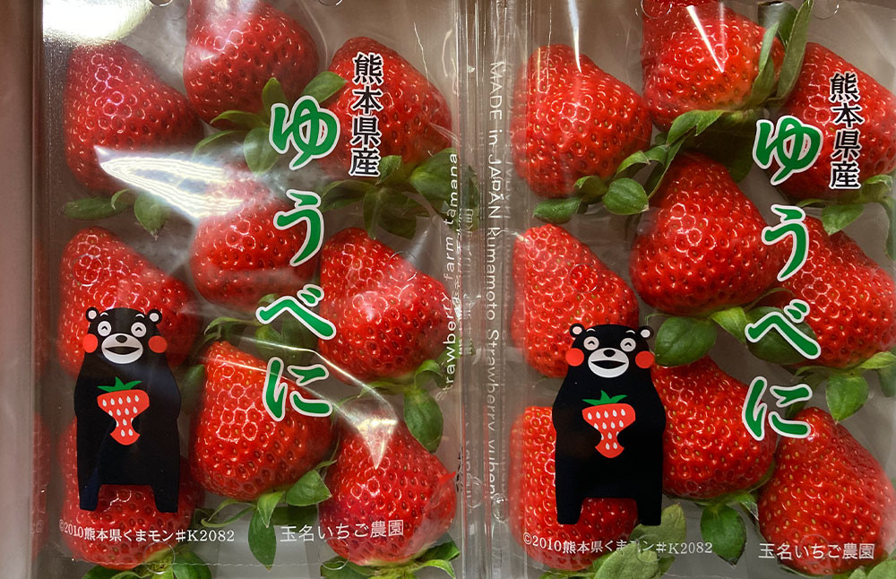 
                  熊本県産 いちご （ゆうべに）2パック 約500g 苺 ゆうべに 【2027年1月上旬発送開始】
                