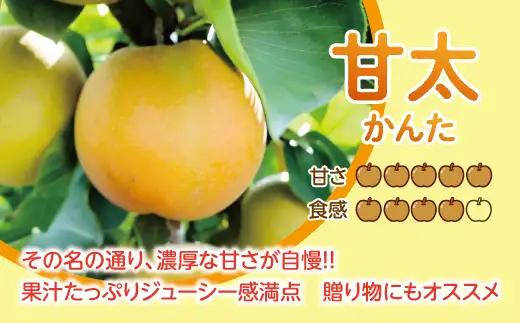 【先行予約】【数量限定】淡海なし　甘太　3kg箱入り（サイズ：2L～7L　5～10個入り）【K131W】スイーツ 果物