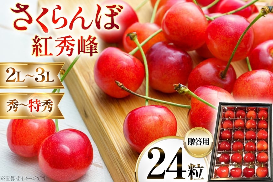 
            【期間限定発送】 サクランボ 紅秀峰 秀 2Lサイズ 24粒 [金子農園 山形県 高畠町 tk06ays950003] 箱入 並び詰め 果物 くだもの フルーツ サクランボ べにしゅうほう 化粧箱
          