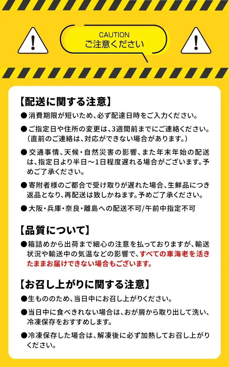S010-082_活き車海老「やまと車海老」500g　〈先行受付〉