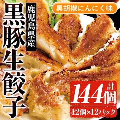 ふるさと納税 いちき串木野市 鹿児島黒豚生餃子(黒胡椒にんにく味)合計144個(12個×12P)国産野菜使用!