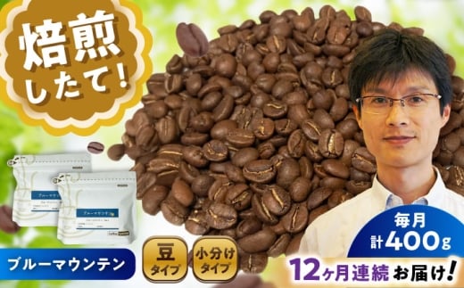 【全12回定期便】ブルーマウンテンNo.1 コーヒー豆 200g×2個 (豆) / 珈琲 コーヒー 豆 / 瀬戸市 / Ｃｏｆｆｅｅ　ＳＡＫＵＲＡ [BBAB032]