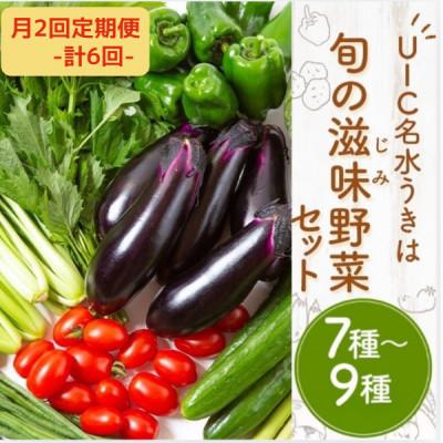 ふるさと納税 うきは市 【2週間毎定期便】名水うきは 旬の滋味(じみ)野菜セット　全6回