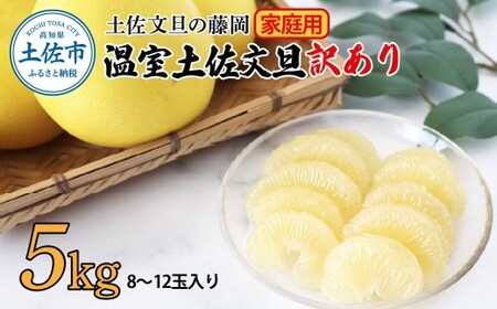 【先行予約】【訳あり】温室土佐文旦 家庭用 約5kg （8?12玉） 高知県土佐市 【土佐文旦の藤岡】 [BQBJ005]