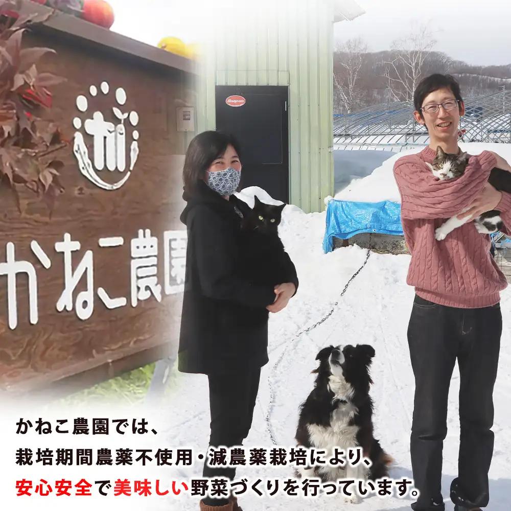 【2026年9月末より発送】北海道産 旬の秋ニンジン 20㎏ 【かねこ農園】