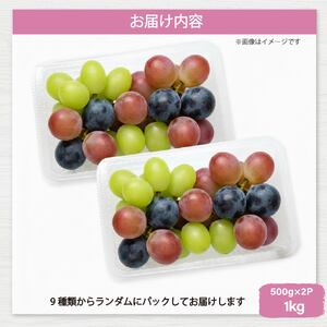 彩り豊かな完熟ぶどう バラ粒パックセット 1㎏【tbb01】