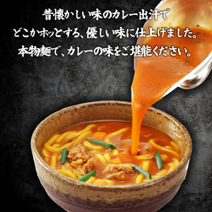 さぬきうどん カレーうどん 16人前 スープ付