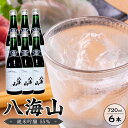 【ふるさと納税】八海山　純米吟醸55％　720ml 6本 | お酒 さけ 人気 おすすめ 送料無料 ギフト