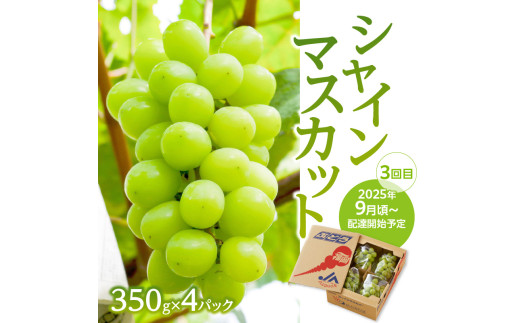 【先行予約】福岡ぶどう定期便【全3回】【ＪＡふくおか】ぶどう食べ比べ便（種なし巨峰、ピオーネ、シャインマスカット）