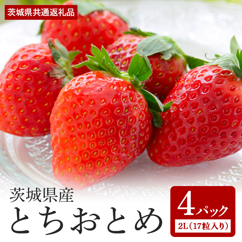 とちおとめ 2L（17粒入り）×4パック 1kg以上 ＜2026年1月中旬～3月上旬発送予定＞ （茨城県共通返礼品 石岡市） 71-D