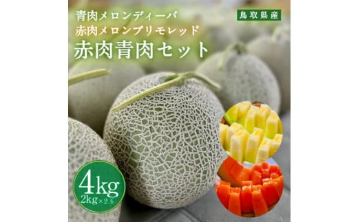 【先行予約】956.【ふるさと納税】青肉メロンディーバと赤肉メロンプリモレッドのセット ※日本全国配送可能  2026年10月上旬頃～11月上旬頃に順次発送予定【先行予約 メロン 果物 くだもの フルーツ 旬 甘い 鳥取県 鳥取 北栄町 おすすめ 人気】
