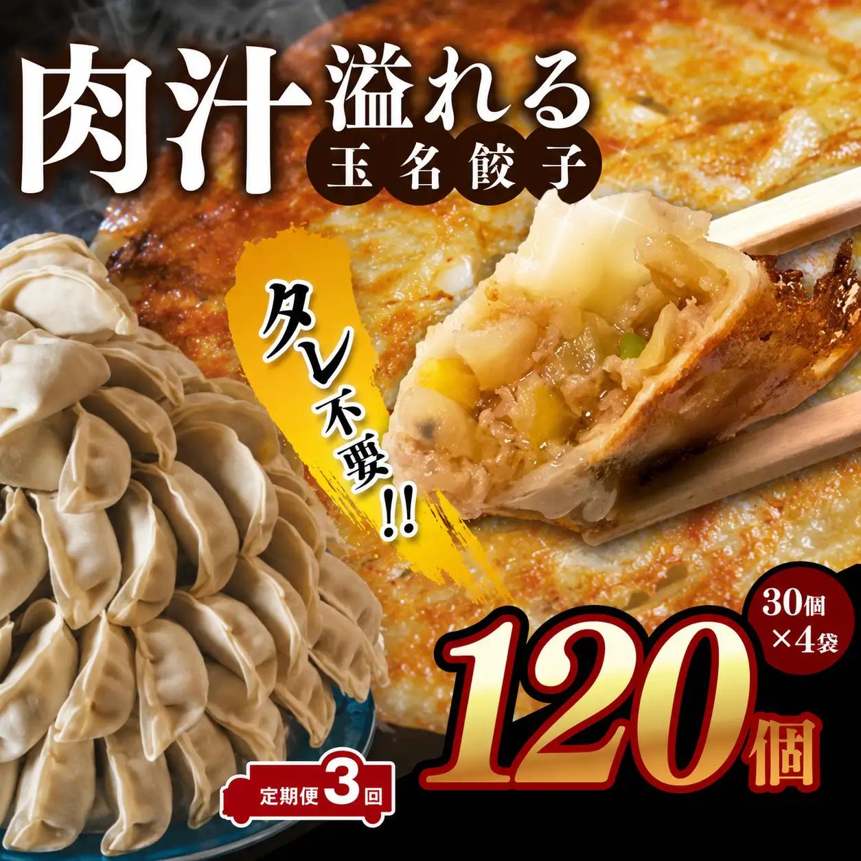 【 定期便 3回 】玉名餃子 120個 （30個×4袋）