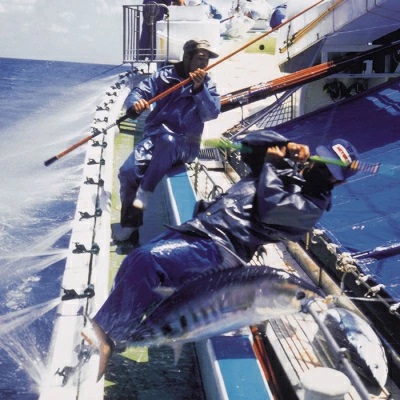 ゆず香りかつおたたき・枕崎ぶえん鰹・戻り鰹　(一本釣りかつお1.2Kg) A3-128 【1166320】 かつお 枕崎市 かつおのたたき カツオ 鰹 たたき 戻り鰹 ぶえん鰹 小分け おつまみ 刺身