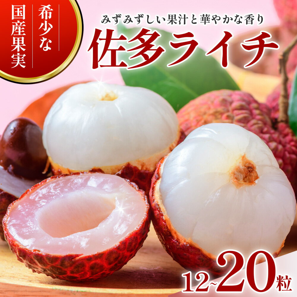 【ふるさと納税】【期間限定・数量限定】 2026年7月より順次発送予定 生でお届け 佐多ライチ 約12粒～20粒 SG-1｜生ライチ 産地直送 新鮮 フレッシュライチ 国産ライチ フルーツ 果物 希少 鹿児島県 本土最南端 しげひさ農園