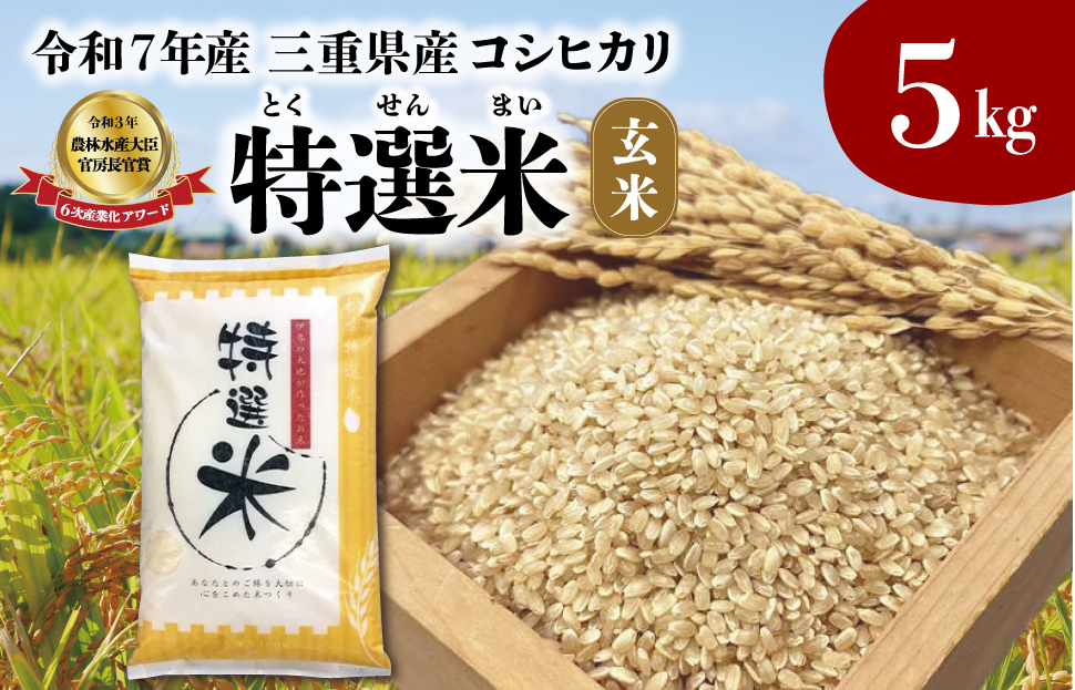 (有)松幸農産 特選米 玄米 5kg セット コシヒカリ お米 おこめ 三重県産 送料無料 5kg×1袋 玄米 小分け 冷めてもおいしい ふるさと納税 ふるさと 米 コメ こめ ギフト プレゼント 人気 お取り寄せ 三重米 新米 MK8